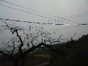 明けました\(^O^)
/。