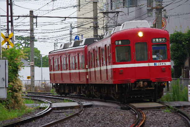 IMGP0447.JPG