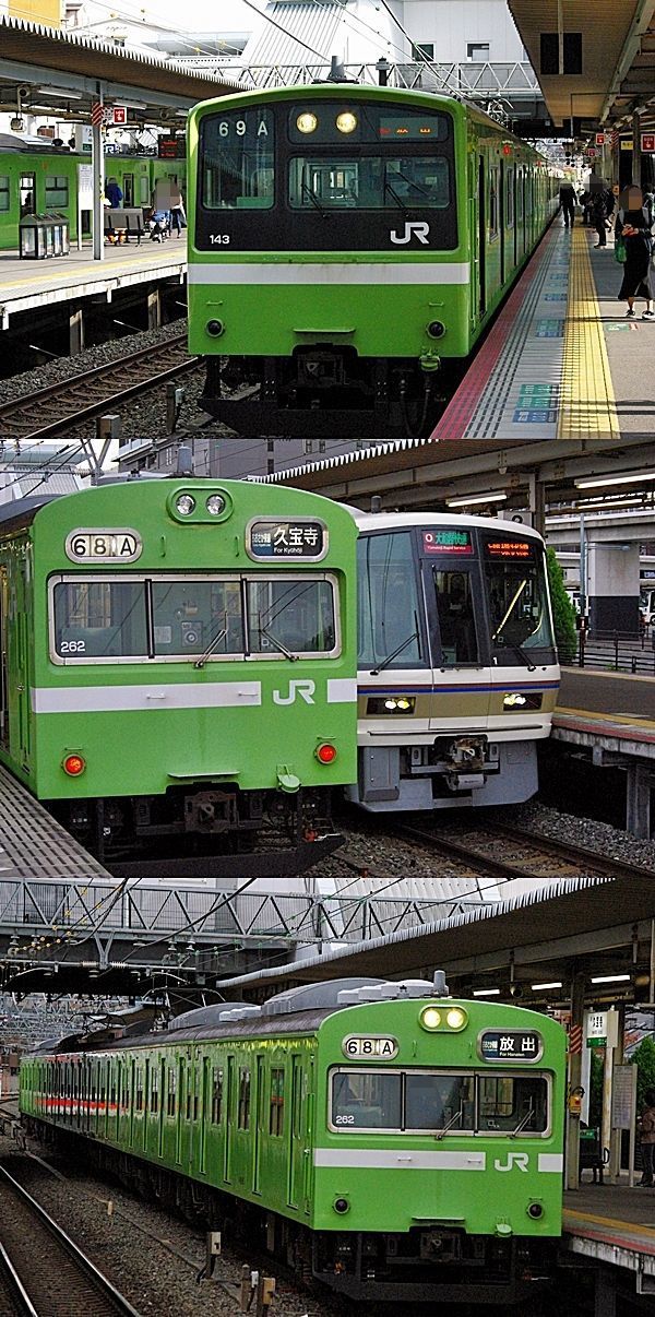 IMGP6695-vert.jpg
