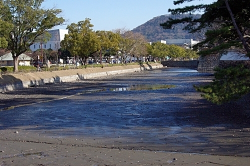 IMGP8697.JPG