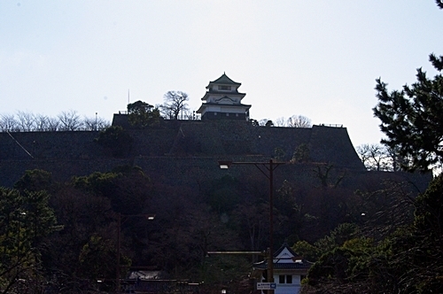 IMGP8745.JPG
