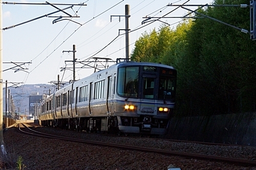 IMGP8753.JPG