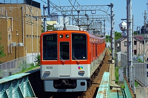 IMGP9819.JPG