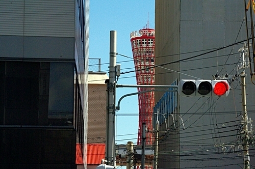 IMGP9836.JPG