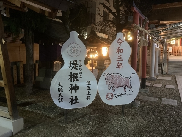 IMG_2638.jpeg
