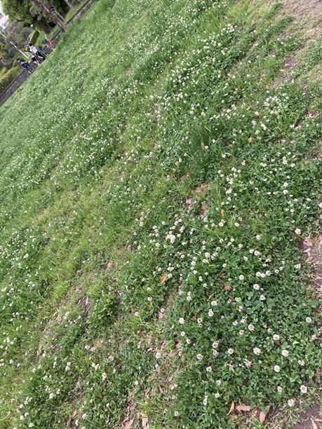 IMG_7674.JPEG