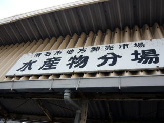 P10407251